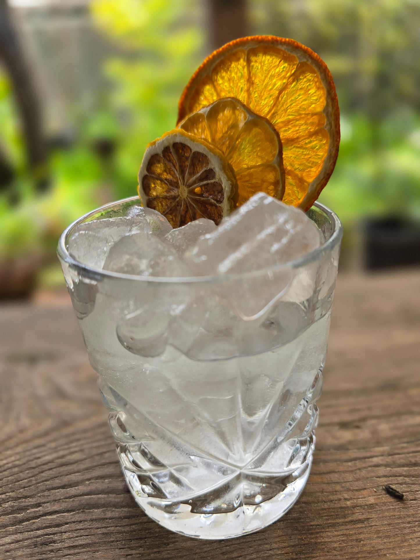 Citrus Grove