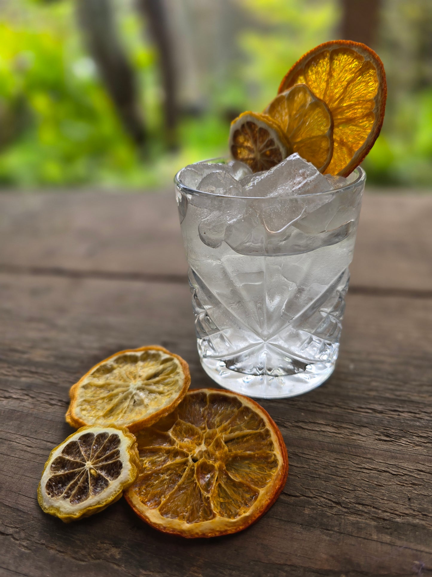Citrus Grove
